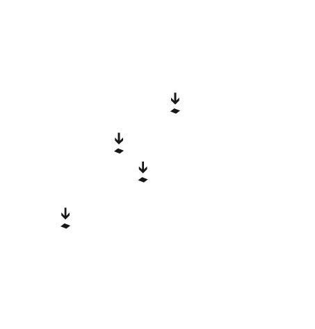 Infopanels
